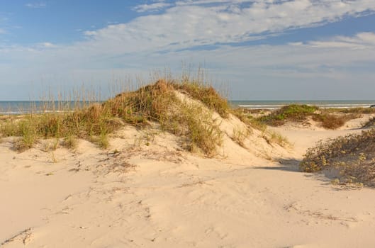 Sand Dunes on the Gulf Coast of Texas at Boca Chica State Park