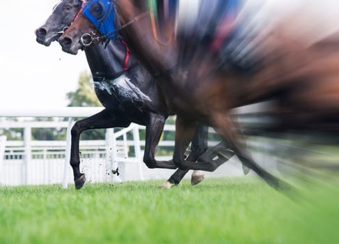 horse racing,selective focus and blurred