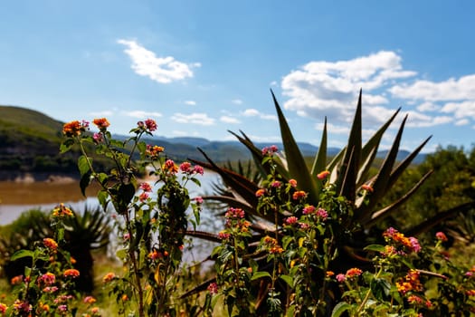 The Kouga Dam is an arch dam on the Kouga River about 21 km west of Patensie in Kouga Local Municipality, South Africa.