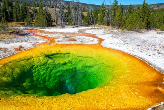 View of the Morning Glory Pool in Yellowstone National Park