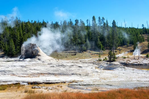 View of Giant Geyser in the Upper Geyser Basin in Yellowstone National Park