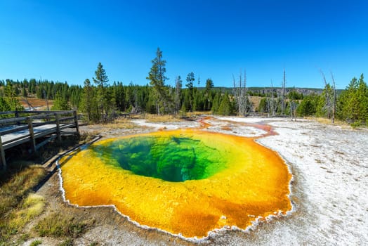Wide angle view of the Morning Glory Pool in the Upper Geyser Basin in Yellowstone National Park