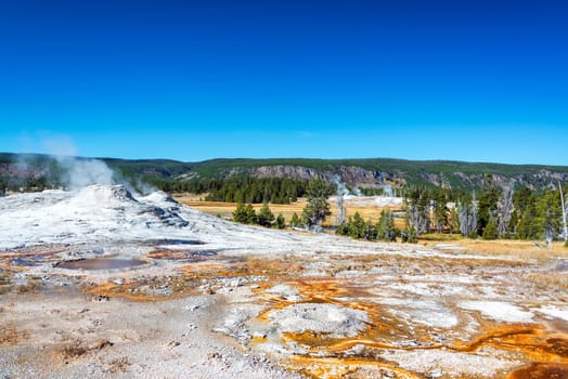 Geyser and landscape the Upper Geyser Basin in Yellowstone National Park