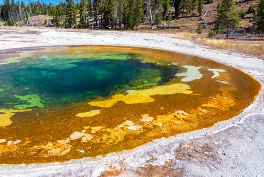 View of Beauty Pool in Upper Geyser Basin in Yellowstone National Park