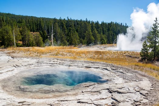 View of the Spa Geyser in the Upper Geyser Basin in Yellowstone National Park
