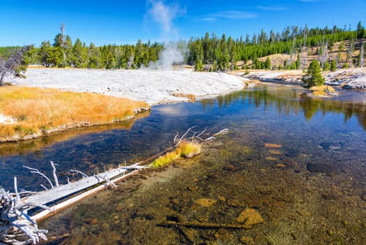 Firehole River with a steaming geyser in the background in Yellowstone National Park