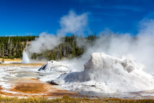 View of Grotto Geyser in the Upper Geyser Basin in Yellowstone National Park