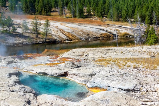 View of Spiteful Geyser on the shore of the Firehole River in Yellowstone National Park