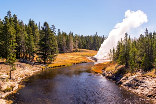 View of the Riverside Geyser erupting over the Firehole River in Yellowstone National Park