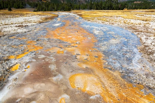 Small creek consisting of runoff from a Grand Geyser eruption in Yellowstone National Park