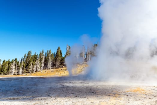 View of an eruption of Grand Geyser in the Upper Geyser Basin in Yellowstone National Park