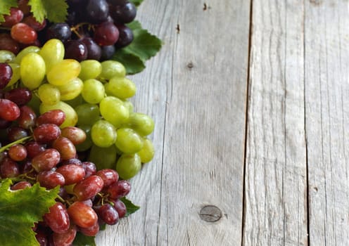 Three types of grapes on a wooden Background