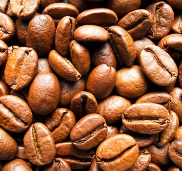 Roasted brown coffee beans close up shoot