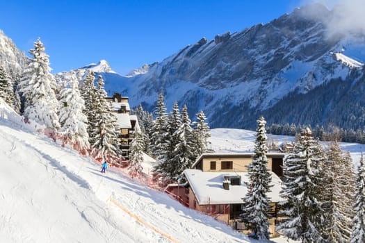 The ski slope.