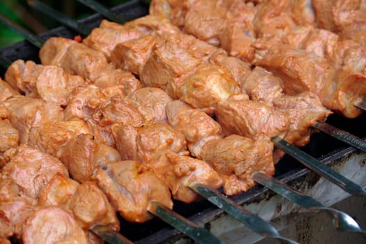 a Shashlik on skewers closeup on grill