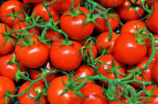 Fresh organic tomatoes