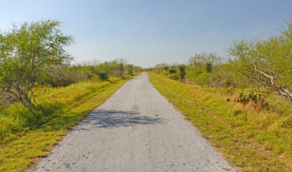 Lonely Path on a Barrier Island in Laguna Atascosa National Wildlife Refuge in Texas
