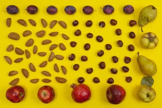 Autumn setting of organic  in shell nuts and fruits on yellow background