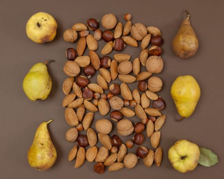 Autumn pear and nut pattern on brown background top view square