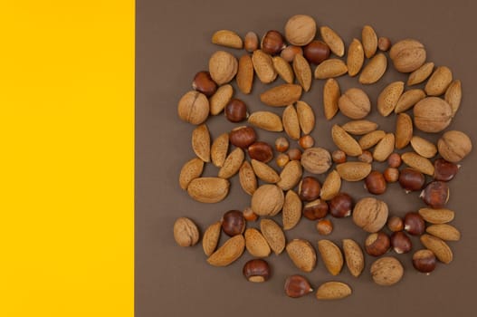 Organic autumn fruits and nuts isolated on split background with copy space