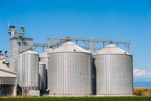 Agricultural Silo - Building Exterior, Storage and drying of grains, wheat, corn, soy, sunflower