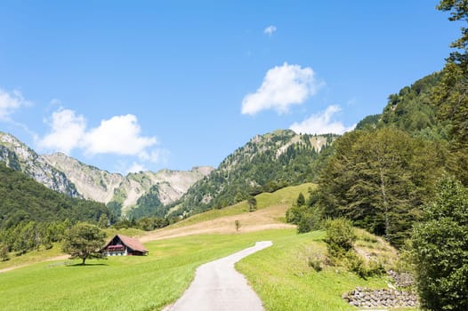 Mountain landscape  in the Friulian  Alps ,  Italy