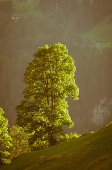 Swiss Alps - snow capped mountains and deep valleys, stunning view, breath-taking panorama
