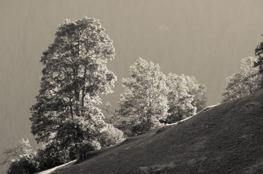 Swiss Alps - snow capped mountains and deep valleys, stunning view, breath-taking panorama