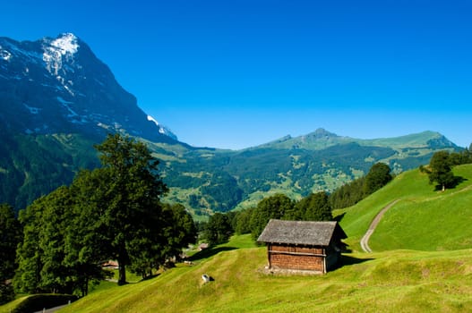 Swiss Alps - snow capped mountains and deep valleys, stunning view, breath-taking panorama