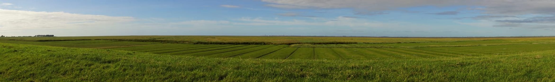 Panoramic view of the North Sea at low tide