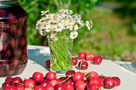 Fresh Cherry bottled cherry and daisy flowers on table in spring or summer sunny