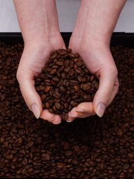 Women's hats and fresh coffee beans