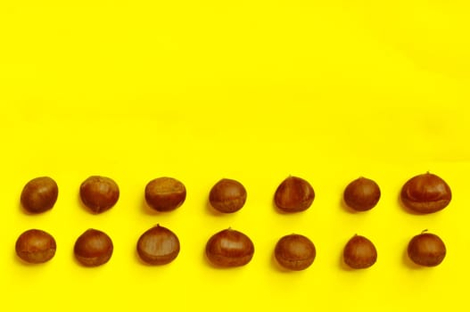 Chestnuts pattern on yellow background, top view, chestnut, castanea
