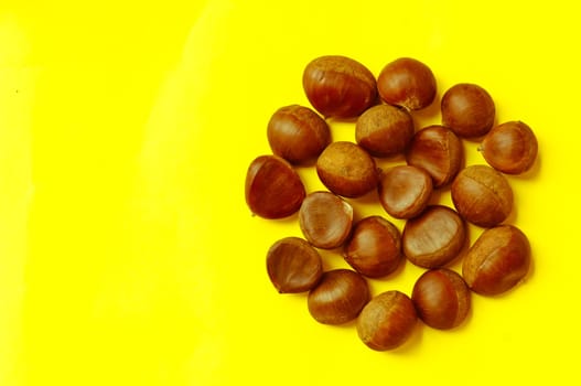 Chestnuts pattern on yellow background, top view, chestnut, castanea