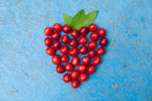 Heart shaped cherries on blue background, cherry heart, isolated