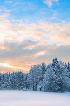 Vertical scenery of frozen forest in rural Bavarian region Allgaeu with snow-covered tiny wooden church under morning dawn sky.