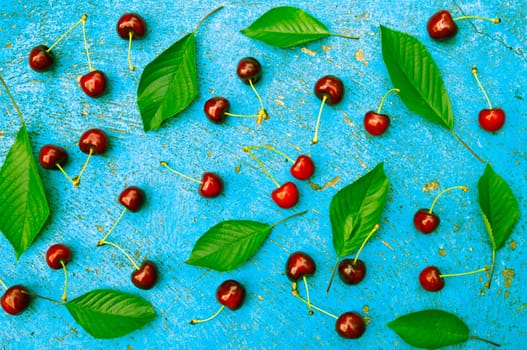 Cherry, cherries with cherry leaves on textured light blue background, top view