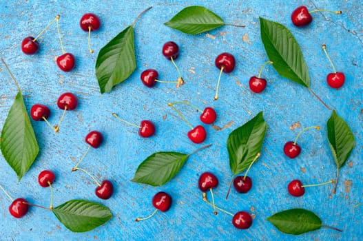 Cherry, cherries with cherry leaves on textured light blue background, top view