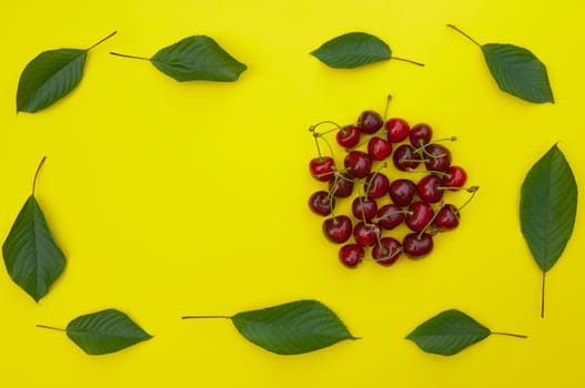 Cherry, cherries with cherry leaves on yellow background, top view