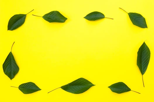 Cherry, cherries with cherry leaves on yellow background, top view