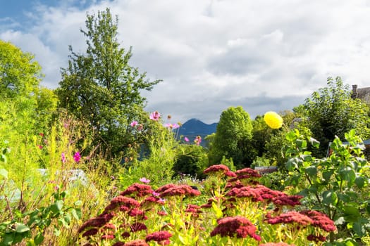 beautiful garden with flowers, mountains in background