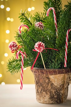 Red cake pops with ribbon in Christmas decoration bouquet with candy canes and some spruce. Very shallow depth of field and Christmas lights in the background