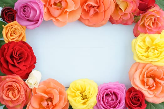Colourful roses with copy space in the middle..Colourful rose petals with copy space in the middle