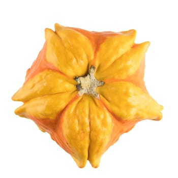 Autumn gourd, viewed from above and isolated on a white background.