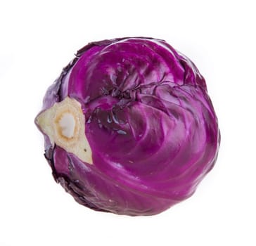 purple cabbage isolated on white background
