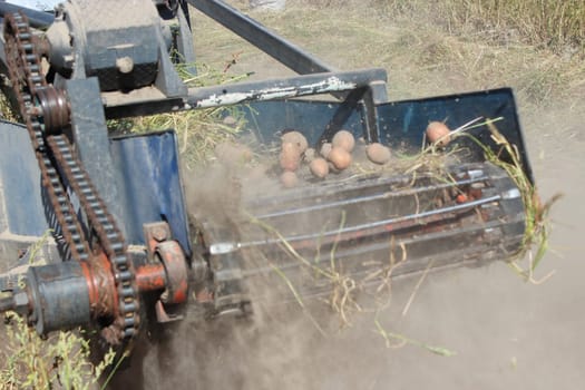 tractor with special equipment for digging the potato