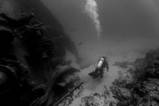 A diver in front of a sunken ship in the waters outside Cape Verde