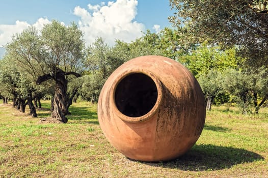 Large terracotta jar for oil and olive trees in the field