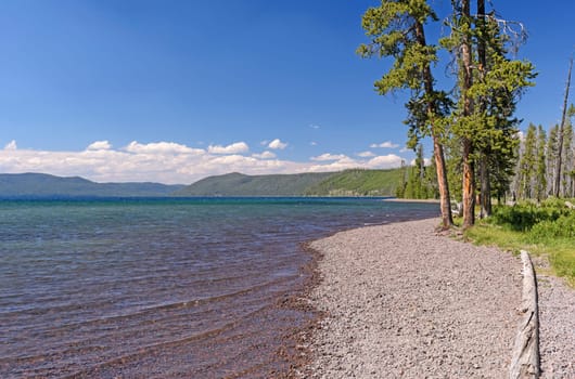 Shoshone Lake on a Summer Day in Yellowstone National Park in Wyoming