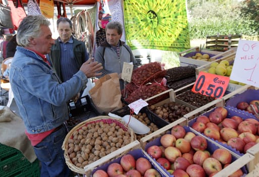 the market at the traditional cow Market in the Farmer Village of Armeno near the Fishingvillage of Orta on the Lake Orta in the Lombardia  in north Italy.